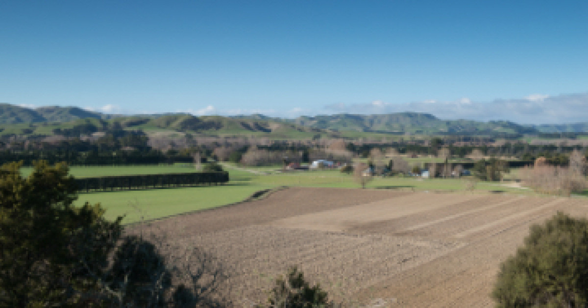 Plant disease management Ground Rules