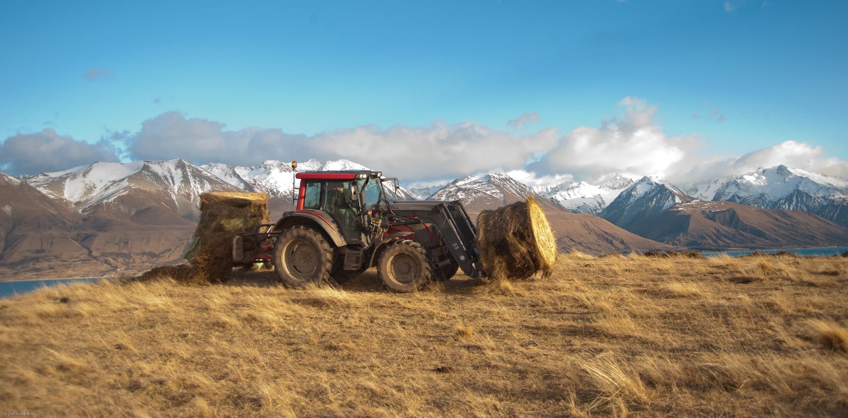 Animal feed Ground Rules