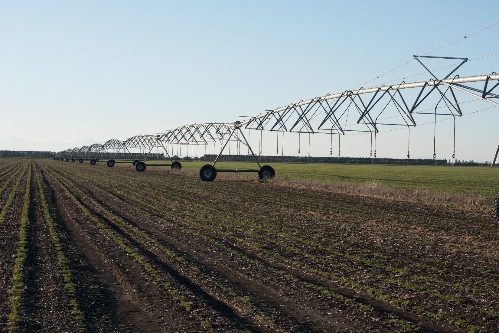 Irrigation management Ground Rules