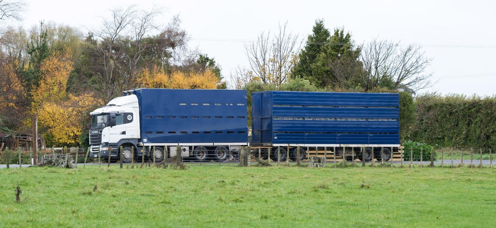 Animal transporting Ground Rules